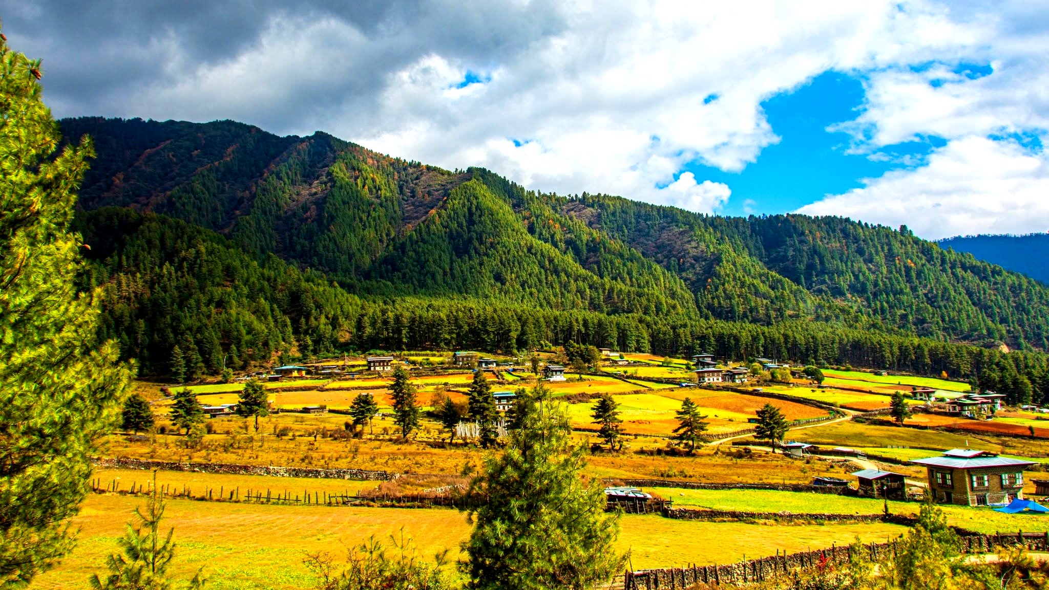 Bhutan in autumn season