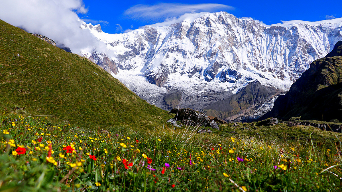 Conservation area in Nepal