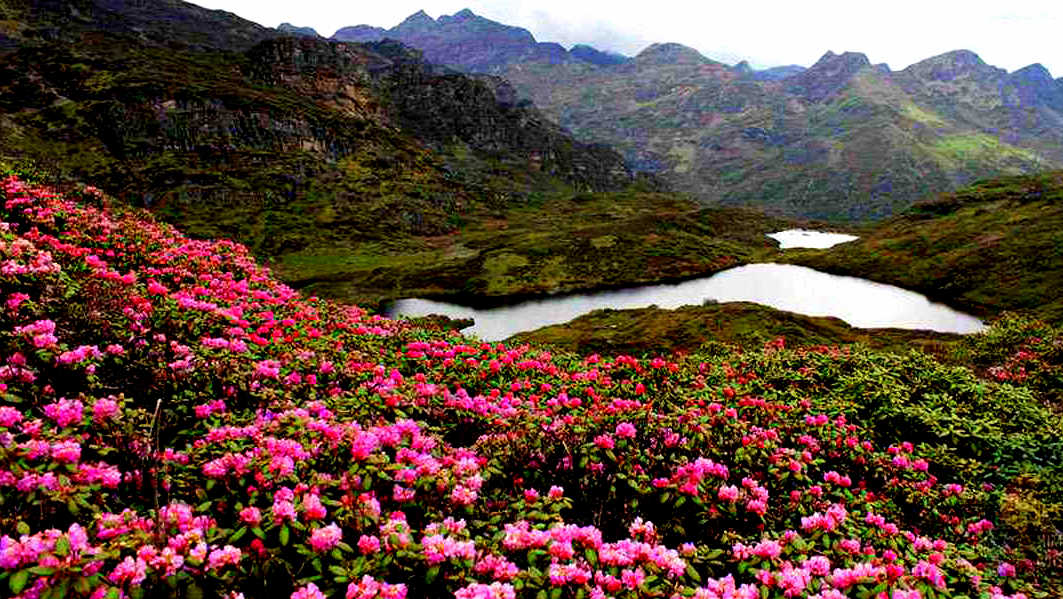 Spring season in bhutan