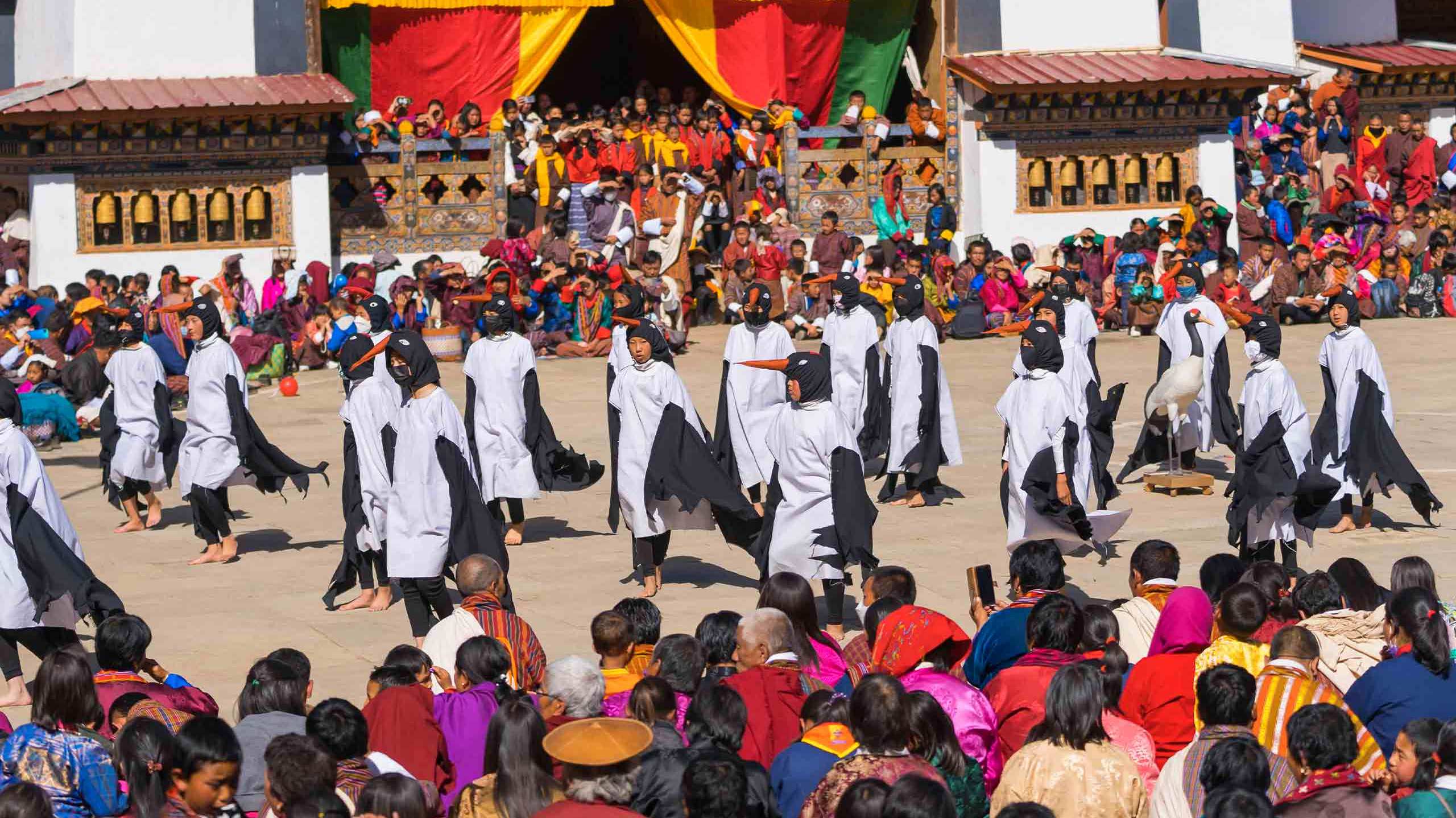 Black Necked Crane Festival