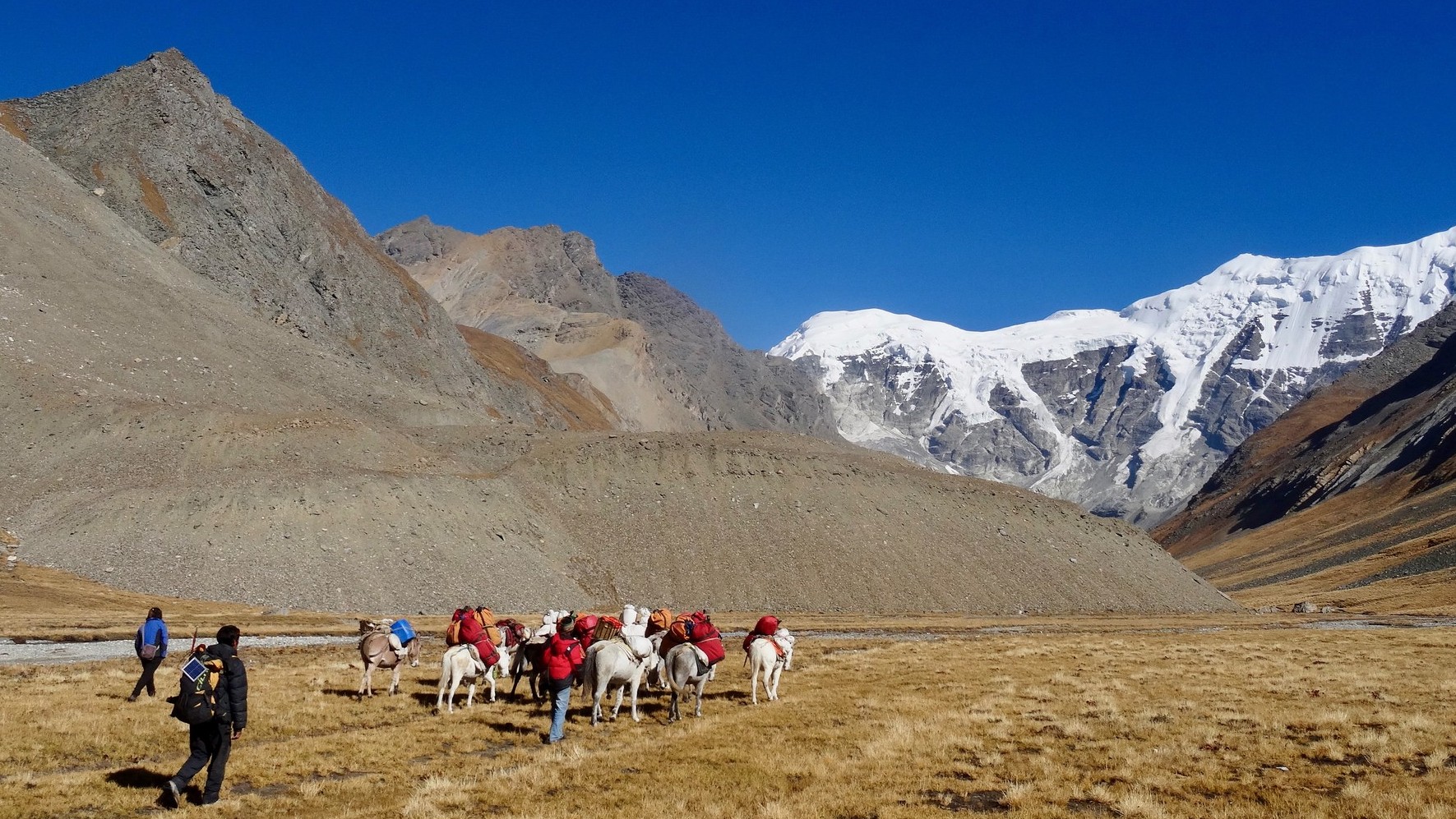 Upper Dolpo Trek