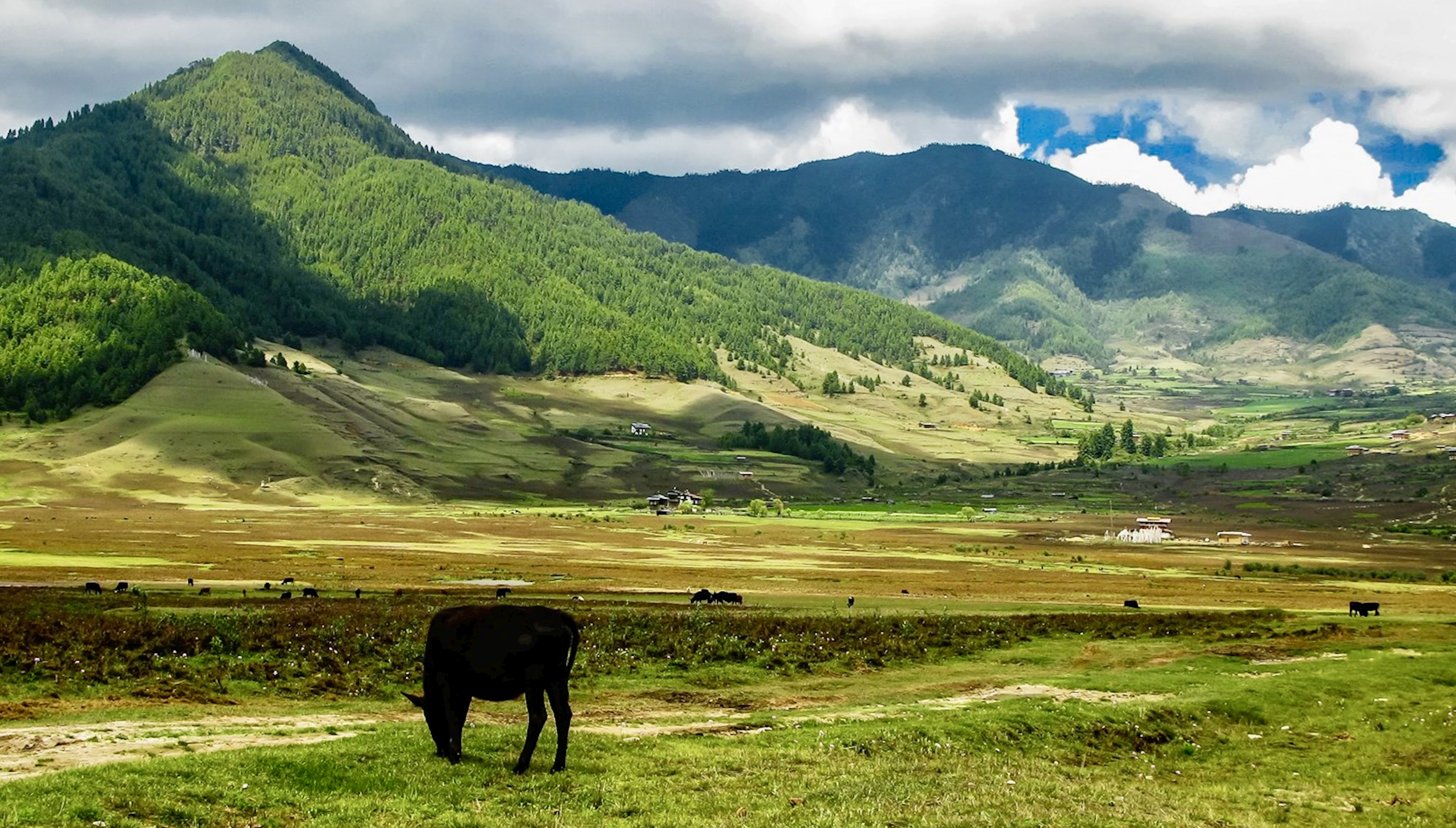 Phobjikha Valley