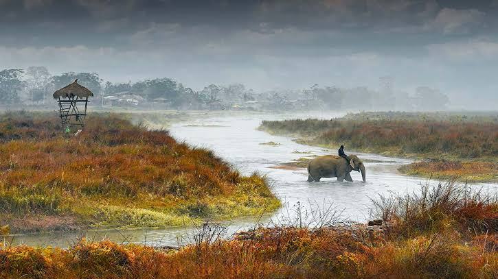 Chitwan in winter