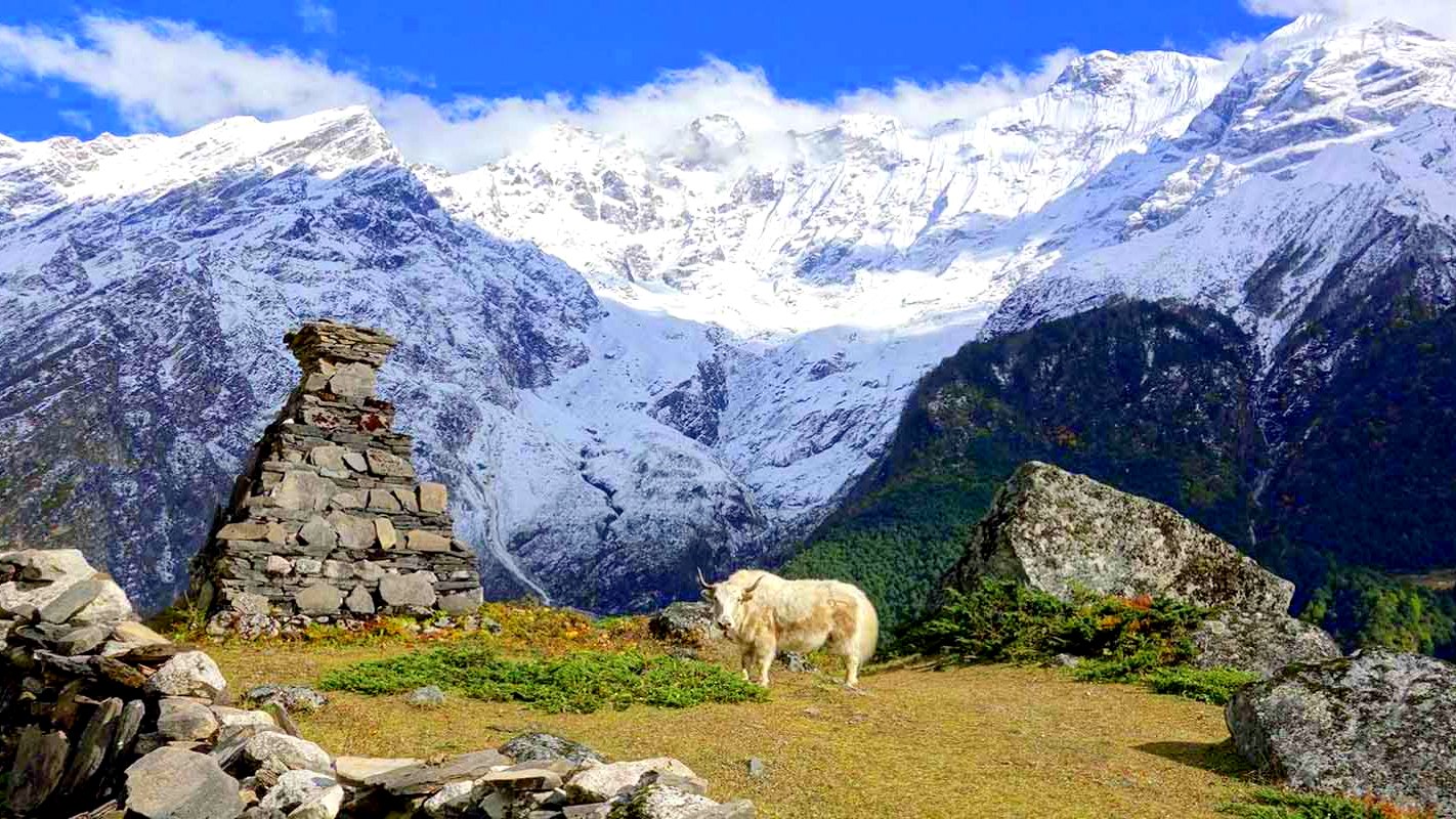 Tsum Valley Trek Manaslu
