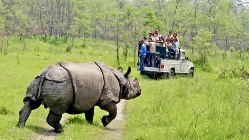 Chitwan Jungle Safari
