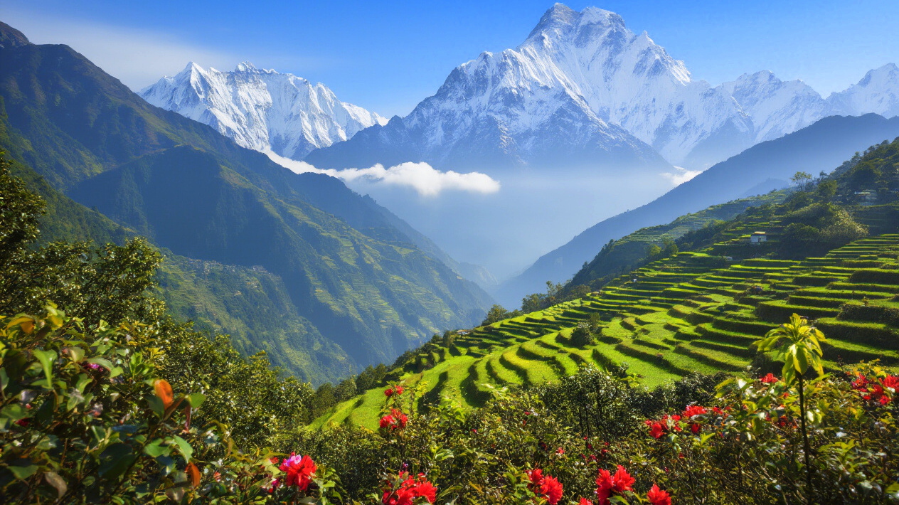 Diverse Landscapes and Ecological Zones