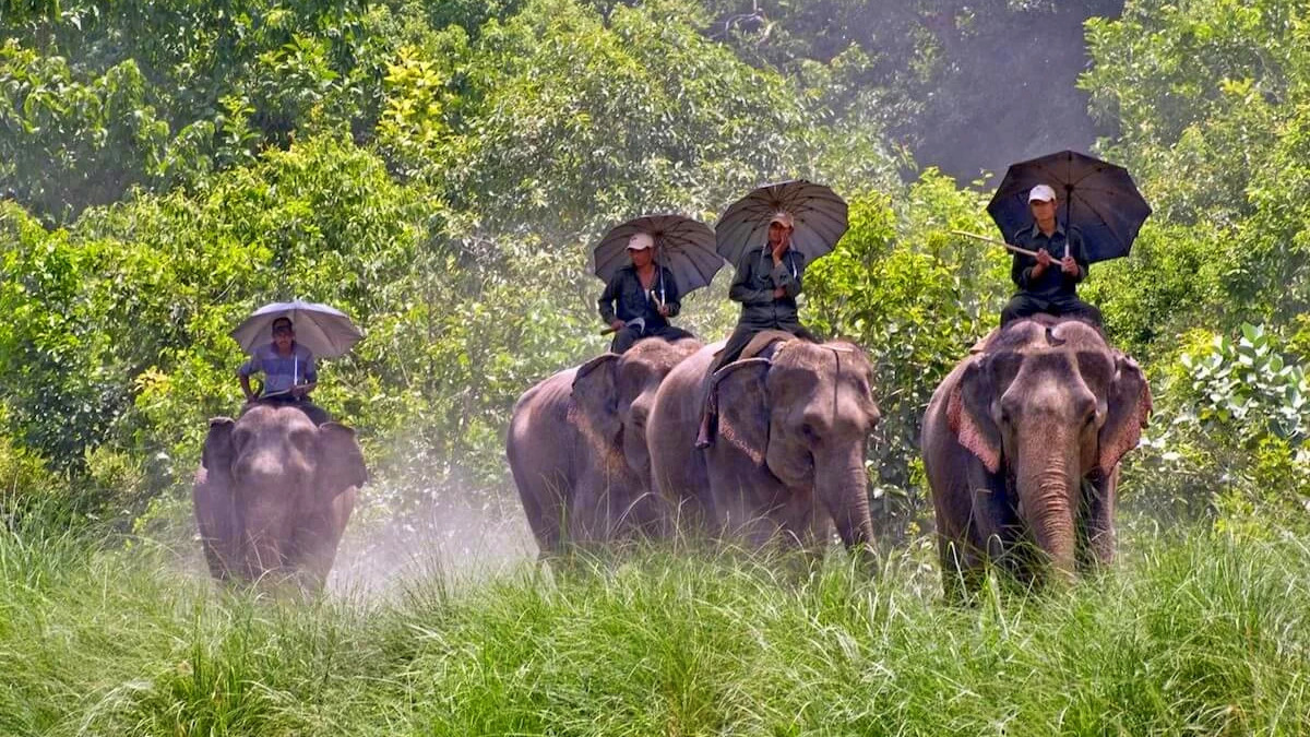 Shuklaphant national park