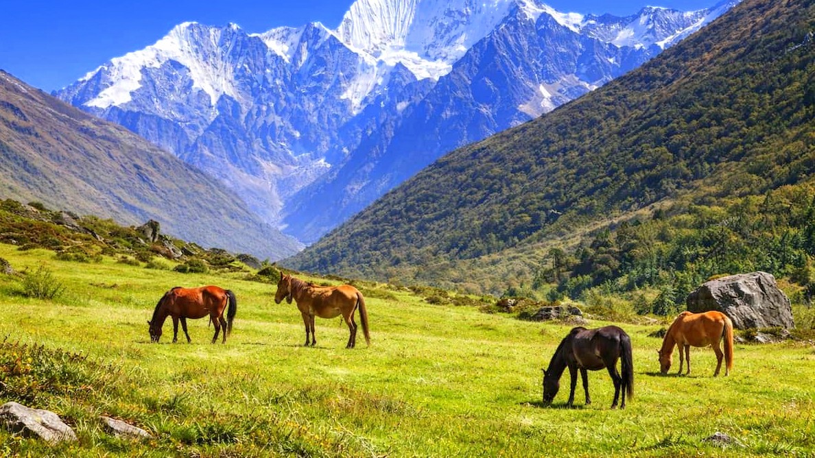 Langtang national park
