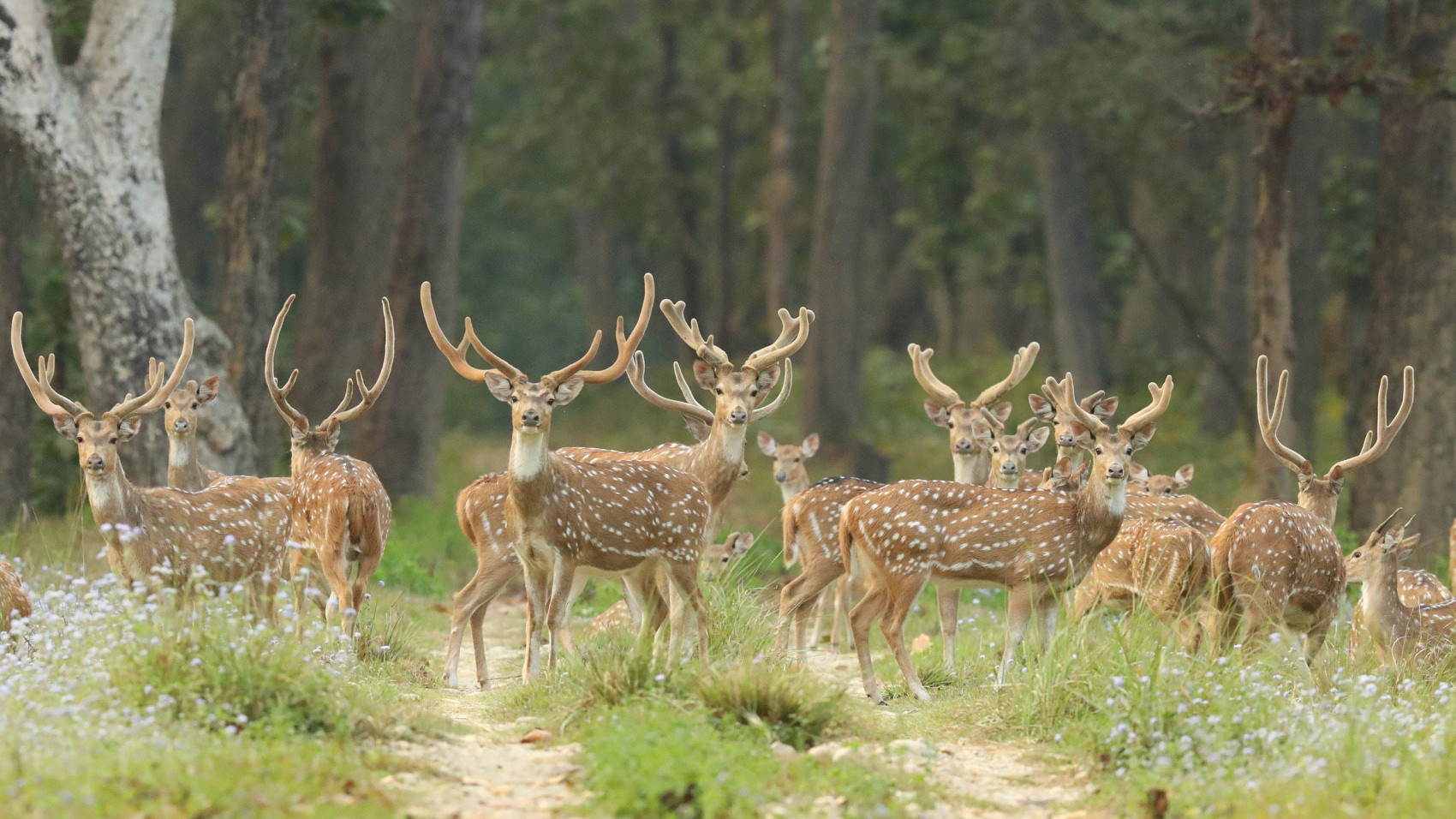 Conservation protected area of Nepal