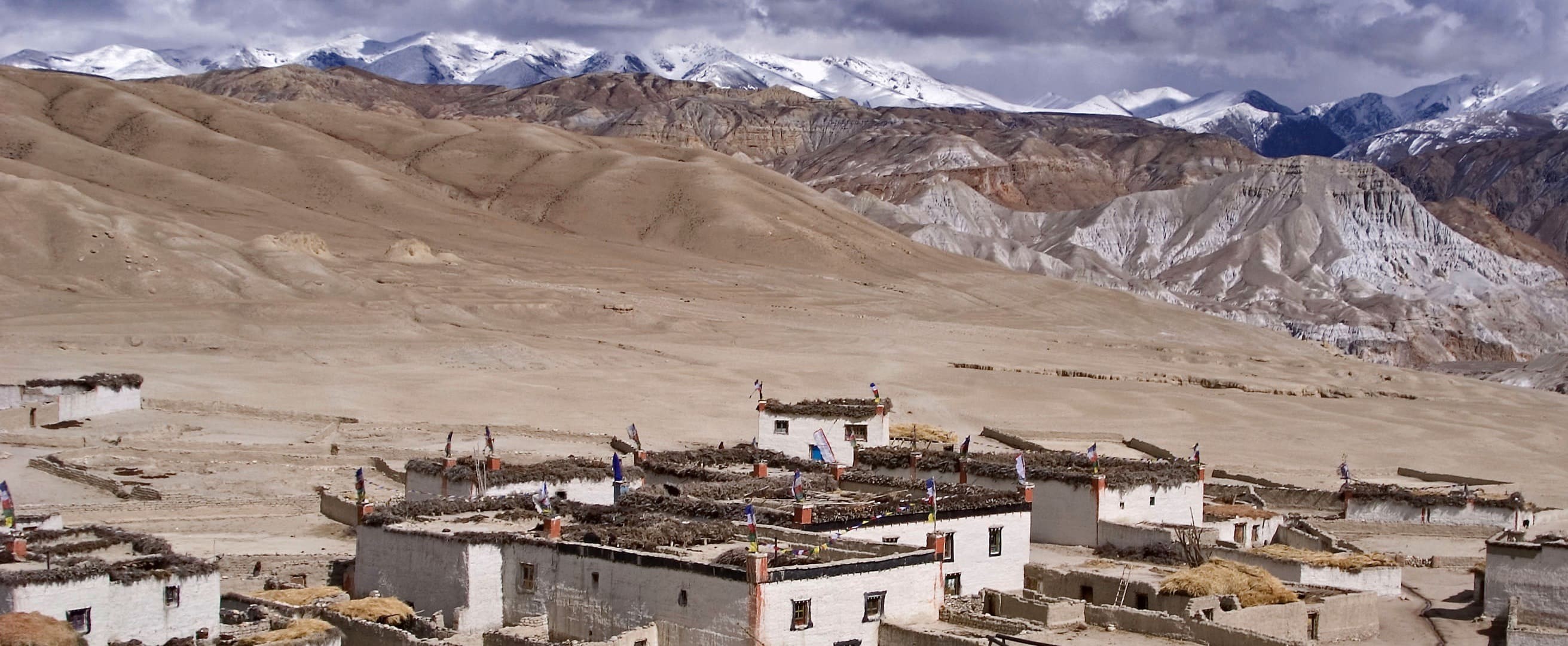 Royal Mustang Resort
