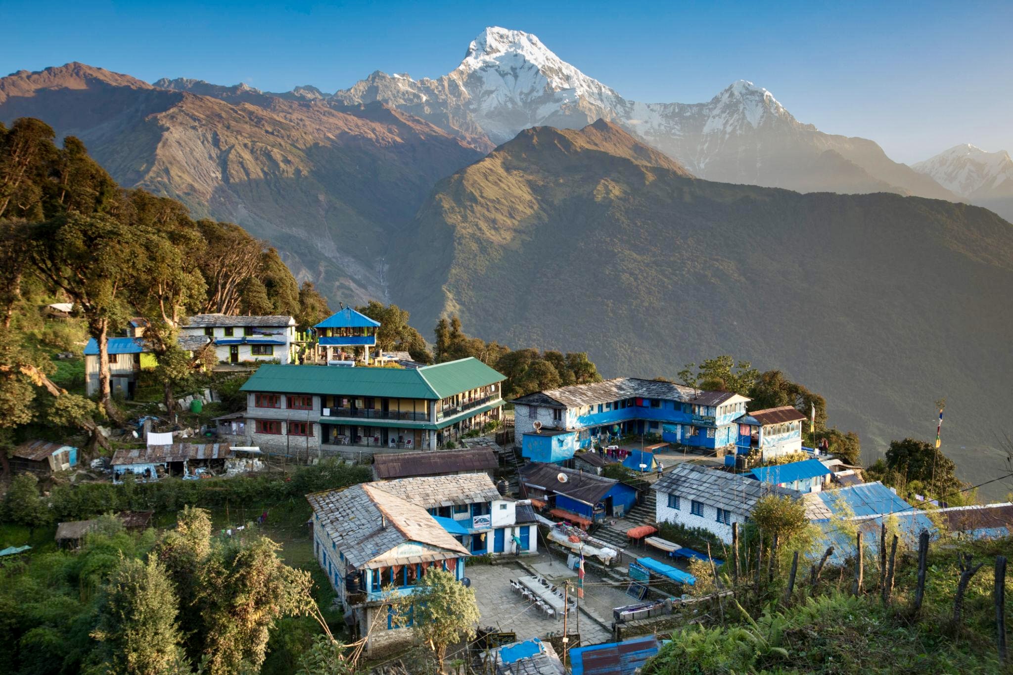 Trek from Ghorepani to Tadapani