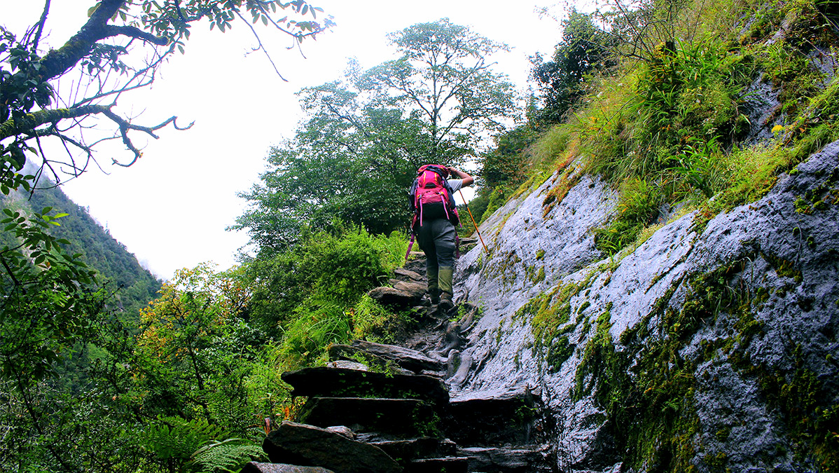 Uphill Routes to Langtang valley trek