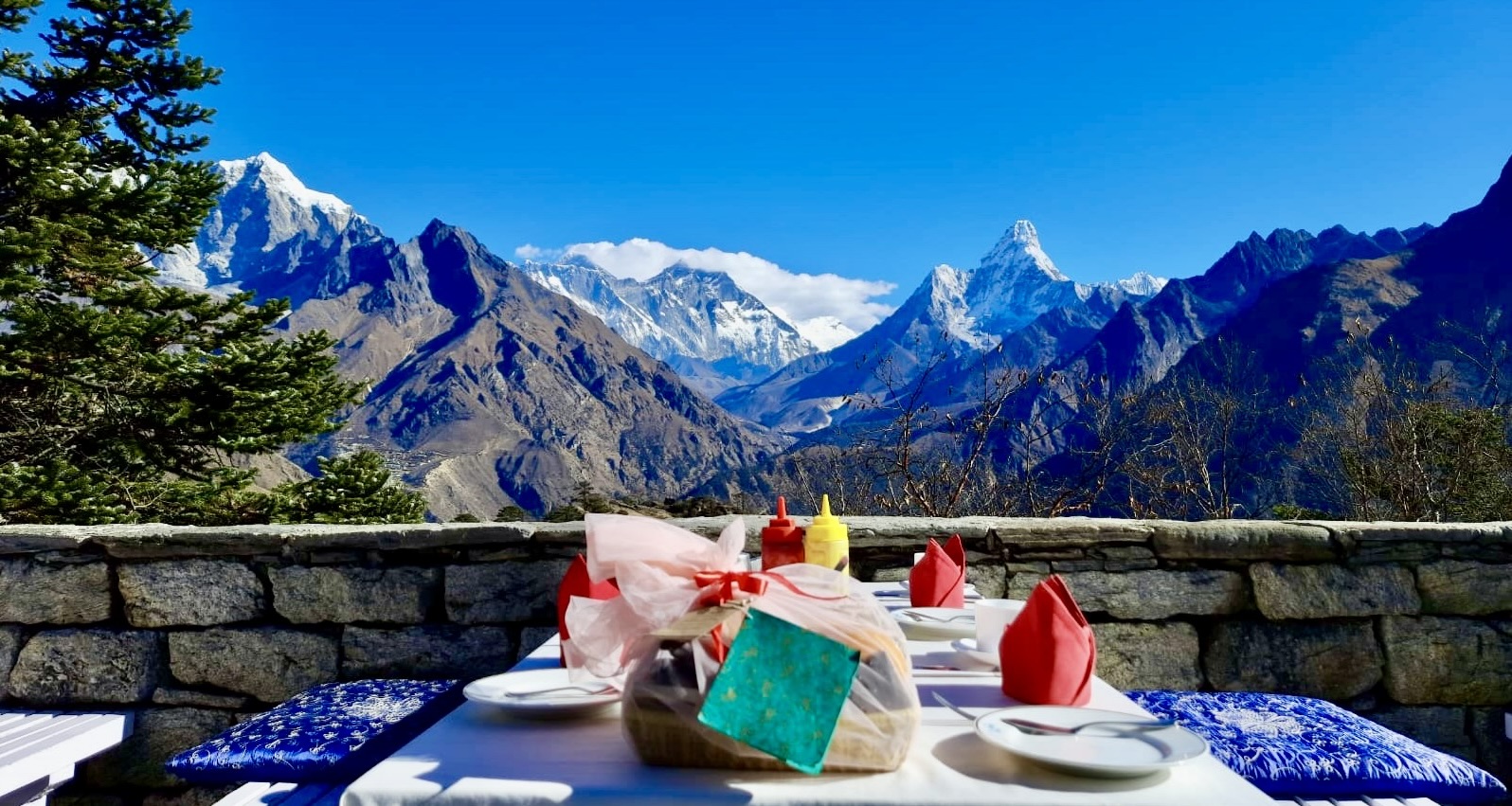 Everest View Hotel