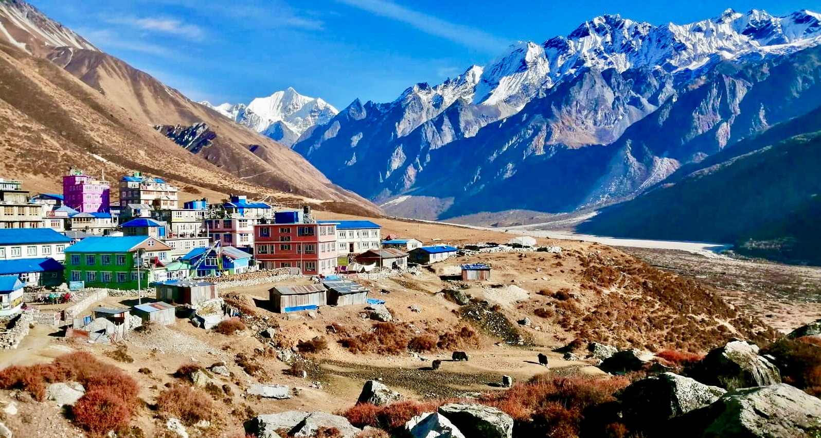 Langtang Valley Trek 3